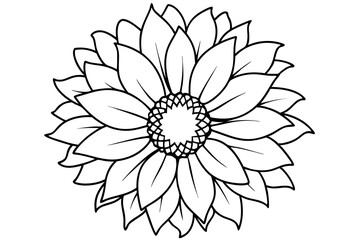 sunflower line art silhouette vector illustration