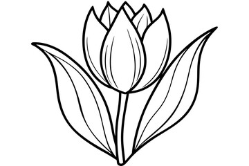 tulip line art silhouette vector illustration