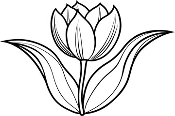 tulip line art silhouette vector illustration