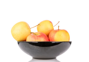 Several juicy apples in a black ceramic plate, close-up, isolated on a white background.