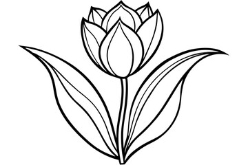 tulip line art silhouette vector illustration