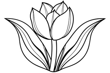 tulip line art silhouette vector illustration