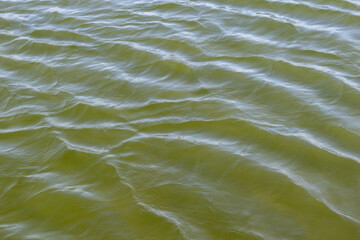Ripples on surface of green water