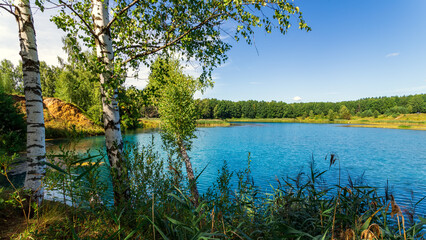 Forest lake with blue clear water in the summer or spring sunny day.
