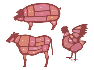 お肉の部位の図解イラスト