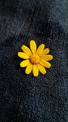 yellow flower on black background