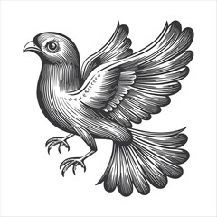 Obraz premium Detailed Vintage Bird Illustration with Elaborate Wing Design