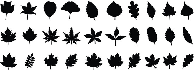 Fall leaves icon in flat style set. isolated on transparent background
