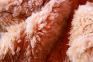 soft and cuddly fur, suitable for use in illustrations or product photography.