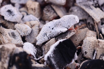 A close-up shot of a pile of wood covered in snow, perfect for winter scenes or rustic designs.
