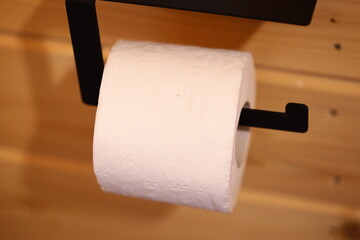 A simple image of a toilet paper holder with a single roll, suitable for use in interior design or household scenes.