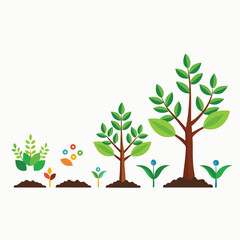 Fototapeta premium Diagram of plant growth stages. Tree growth vector diagram. Green tree growth, nature leaf growth, plant growh illustration