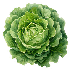 Obraz premium Salad