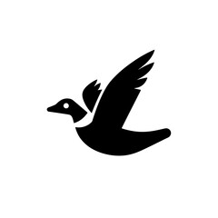 Fototapeta premium Elegant hand-drawn engraving of a flying duck in vintage black and white style for unique tattoo design concepts