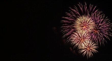 Fototapeta premium Colorful fireworks bursting against a dark night sky, creating a festive and celebratory atmosphere, symbolizing joy and excitement of special occasions