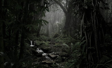 Sunlight streaming through the dense foliage of a tropical rainforest