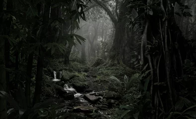 Fotobehang Betoverde Bos Sunlight streaming through the dense foliage of a tropical rainforest  © quickshooting
