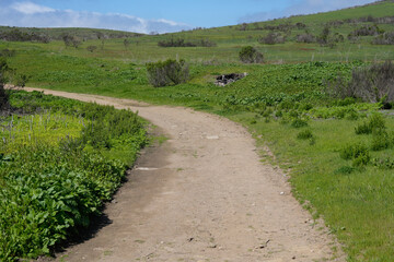 This stock image depicts a serene and natural landscape featuring a winding dirt path that cuts through a lush green meadow. The path curves gently to the left, surrounded by vibrant green grass. 