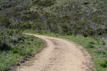 Winding dirt path cutting through a rugged, natural landscape. The trail is flanked by dense, wild vegetation and grassy patches.