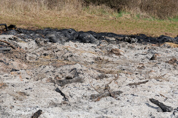 burning grass, burning field, burning earth