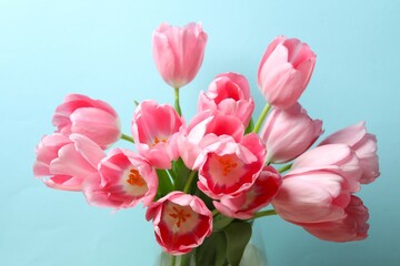 Beautiful bouquet of fresh tulips on a colored background
