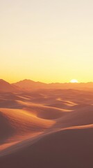A beautiful desert landscape during a warm golden sunset is visible