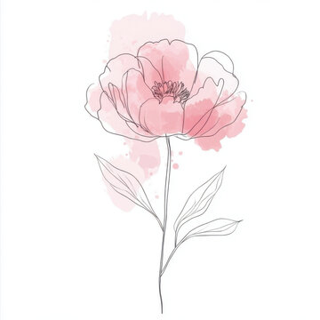 Single continuous line drawing of a tender Peony flower with pink watercolor accent. Minimalist style, elegant and clean composition.