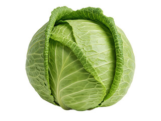Fototapeta premium cabbage isolated on transparent background