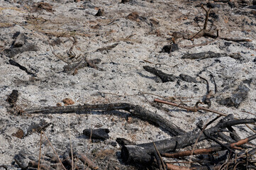burning grass, burning field, burning earth