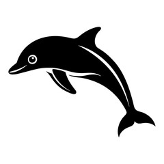 Obraz premium dolphin isolated on white background