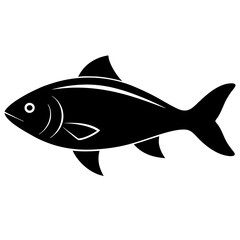 fish on a white background