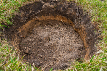 A hole is made in the lawn for planting a tree