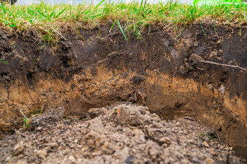 A close-up of the soil layers under the lawn. A dug hole for planting seedlings in the spring