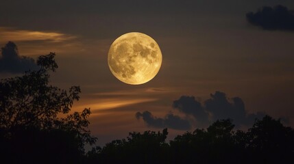 Full moon over dark trees