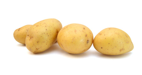 A new russet potato on white