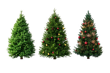 Fototapeta premium Three Christmas trees isolated on white background 