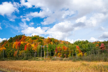autumn colors in northern michigan