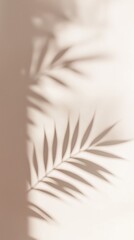 Fototapeta premium Plant Shadows on Pastel Wall – Minimalist Social Media Background