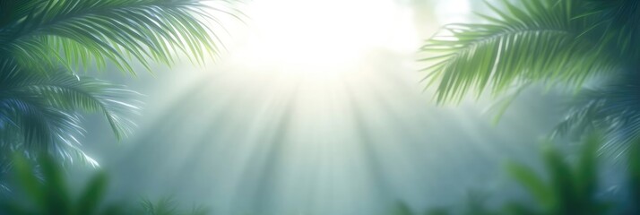 Sunlight Filtering Through Lush Jungle Foliage