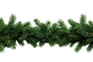 Green pine branches on clear bg