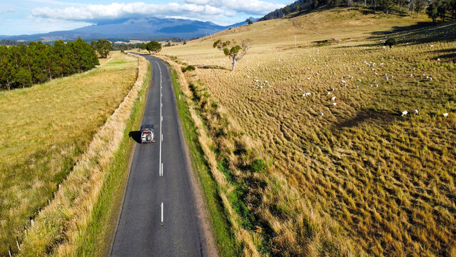 A winding road between lush green fields , seen from above