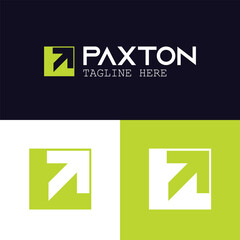 Professional modern logo design paxton with creative and minimalist
