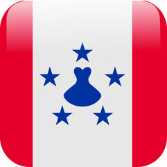 square 3d look Flag of austral island