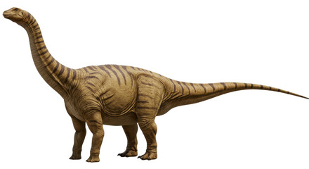 Isolated Detailed Brontosaurus Dinosaur © Lisa