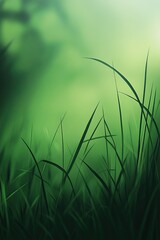 Vibrant green grass blades in natural sunlight