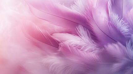 Obraz premium Delicate pink and purple feather texture with soft light gradient. Wallpaper