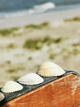 Makro on the Beach