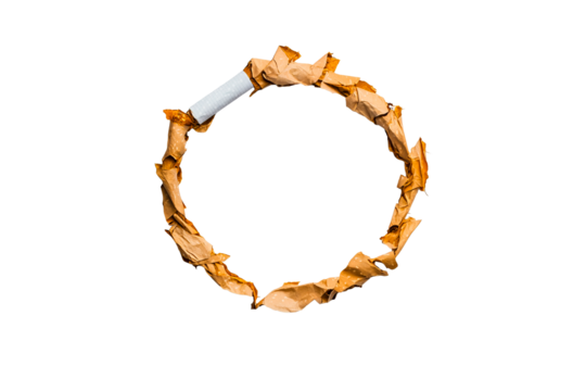 Unique circular sculpture made of crumpled paper