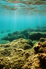 Shallow sunny water, blue sea, colorful big stones with morning sunrays. Ocean and sun. Adventure snorkeling, undersea landscape. Seabed with the rocks, underwater photography from the snorkeling.