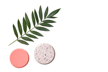 Plant leaves and circular shapes in colors